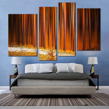 Load image into Gallery viewer, 4pA_Orange