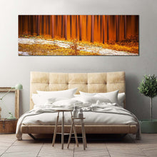 Load image into Gallery viewer, 1pB_Orange