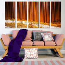 Load image into Gallery viewer, 5pD_Orange