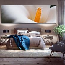 Load image into Gallery viewer, 1pB_White