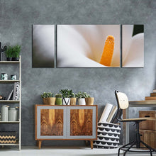 Load image into Gallery viewer, 3pD_White