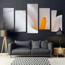 Load image into Gallery viewer, 5pC_White