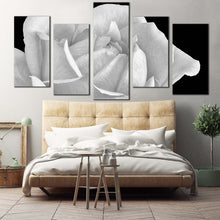 Load image into Gallery viewer, 5pC_White