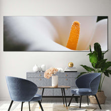 Load image into Gallery viewer, 1pB_White