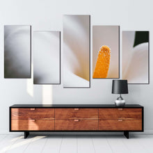 Load image into Gallery viewer, 5pC_White