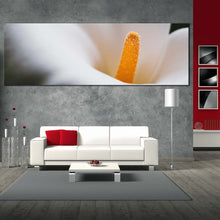 Load image into Gallery viewer, 1pB_White