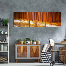 Load image into Gallery viewer, 3pC_Orange