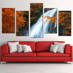 5pC_Orange