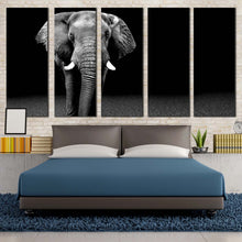 Load image into Gallery viewer, 5pD_Grey