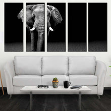 Load image into Gallery viewer, 5pD_Grey