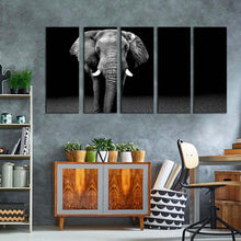 Load image into Gallery viewer, 5pD_Grey