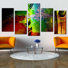 Load image into Gallery viewer, 5pC_Colorful