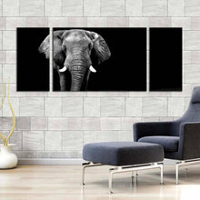 Load image into Gallery viewer, 3pD_Grey