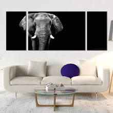 Load image into Gallery viewer, 3pD_Grey