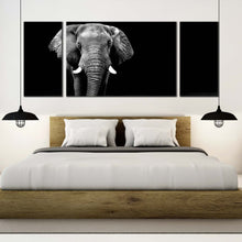 Load image into Gallery viewer, 3pD_Grey