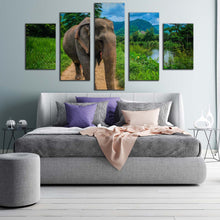 Load image into Gallery viewer, 5pA_Green