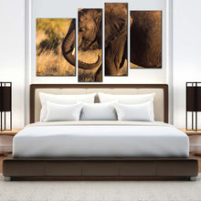 Load image into Gallery viewer, 4pA_Brown