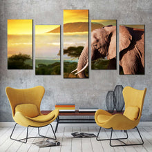 Load image into Gallery viewer, 5pC_Brown