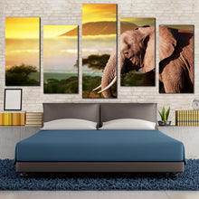 Load image into Gallery viewer, 5pC_Brown