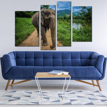 Load image into Gallery viewer, 4pA_Green