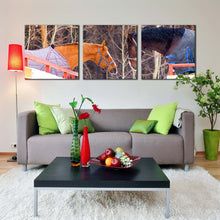 Load image into Gallery viewer, 3pC_Brown