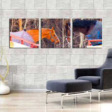 Load image into Gallery viewer, 3pC_Brown