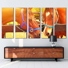 Load image into Gallery viewer, 5pD_Orange