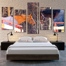 Load image into Gallery viewer, 5pC_Brown