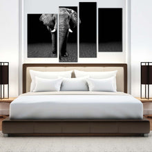 Load image into Gallery viewer, 4pA_Grey