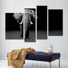 Load image into Gallery viewer, 4pA_Grey