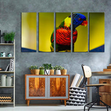 Load image into Gallery viewer, 5pD_Colorful