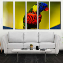 Load image into Gallery viewer, 5pD_Colorful