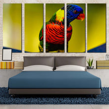 Load image into Gallery viewer, 5pD_Colorful