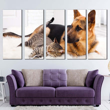 Load image into Gallery viewer, 5pD_Brown