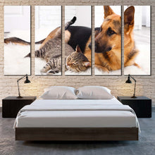 Load image into Gallery viewer, 5pD_Brown