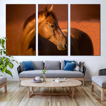 Load image into Gallery viewer, 3pE_Brown