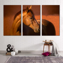 Load image into Gallery viewer, 3pE_Brown