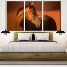 Load image into Gallery viewer, 3pE_Brown