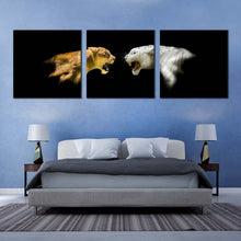 Load image into Gallery viewer, 3pC_White