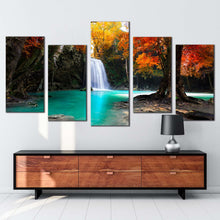 Load image into Gallery viewer, 5pC_Orange