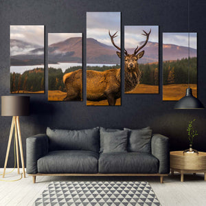 5pC_Brown