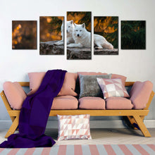 Load image into Gallery viewer, 5pB_White