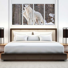 Load image into Gallery viewer, 4pC_White