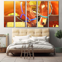 Load image into Gallery viewer, 5pD_Orange
